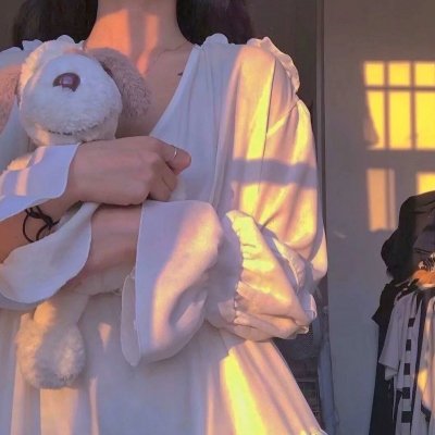 九皇子是女儿身